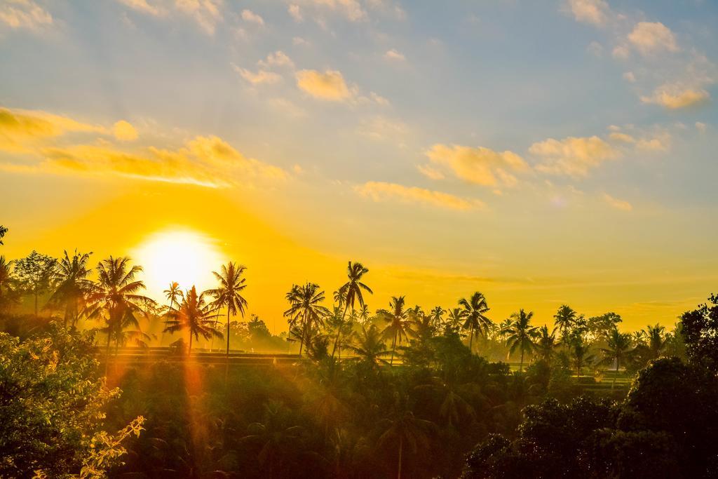 Griya Sriwedari Hotel Ubud Buitenkant foto