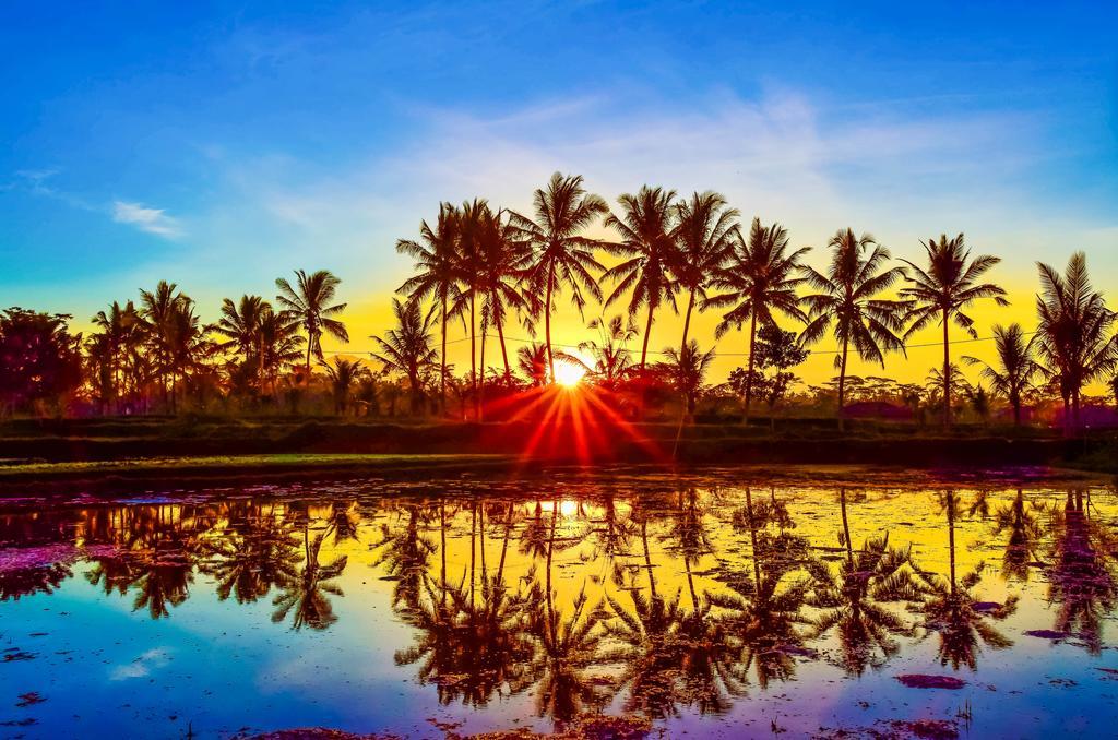Griya Sriwedari Hotel Ubud Buitenkant foto