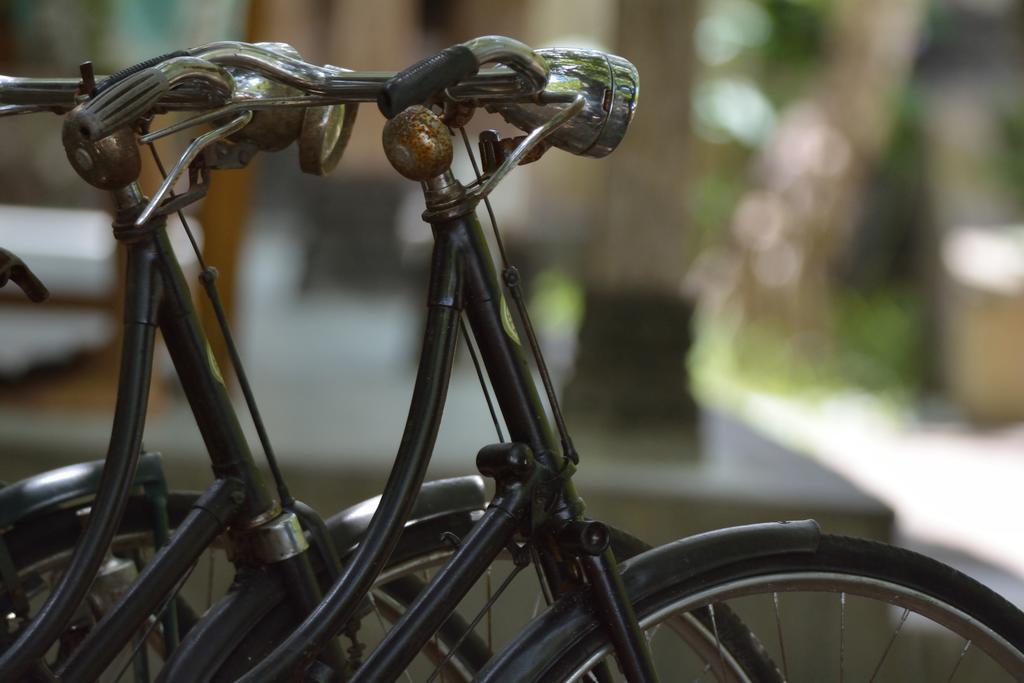 Griya Sriwedari Hotel Ubud Buitenkant foto