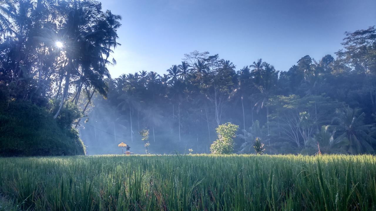 Griya Sriwedari Hotel Ubud Buitenkant foto