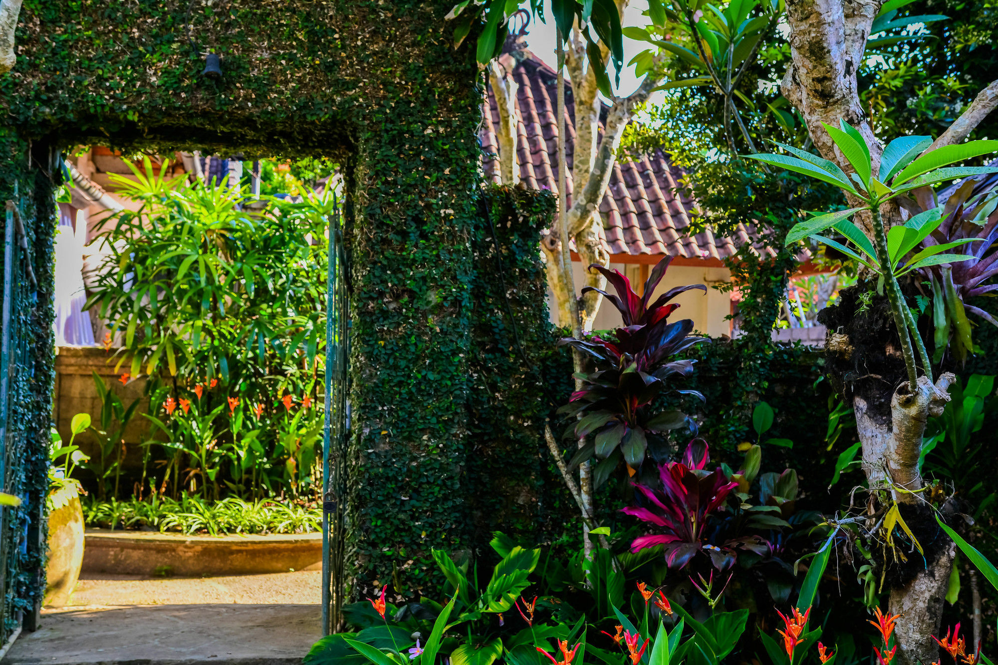 Griya Sriwedari Hotel Ubud Buitenkant foto