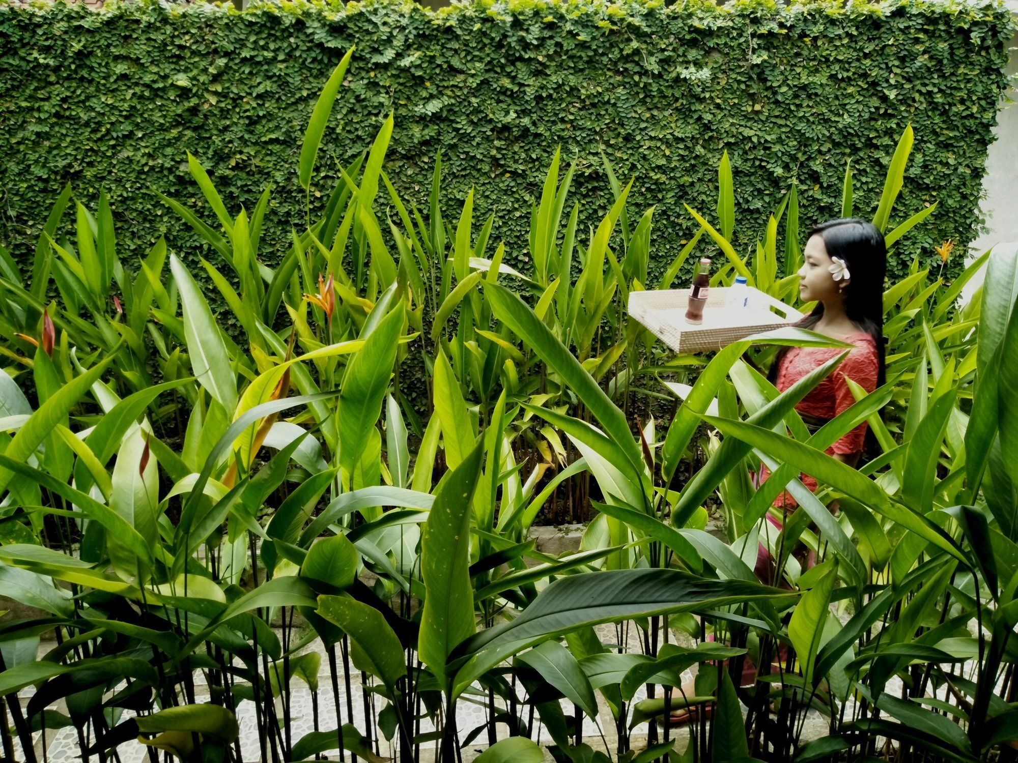 Griya Sriwedari Hotel Ubud Buitenkant foto